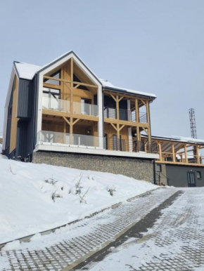 Шале Green Land Bukovel